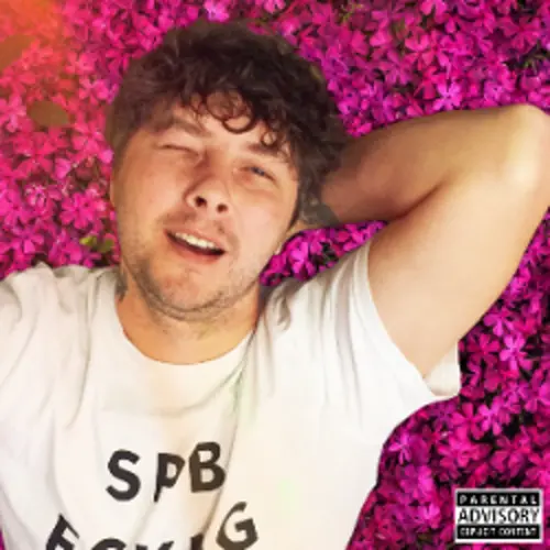 Пошлю всё на хуй (Remix)